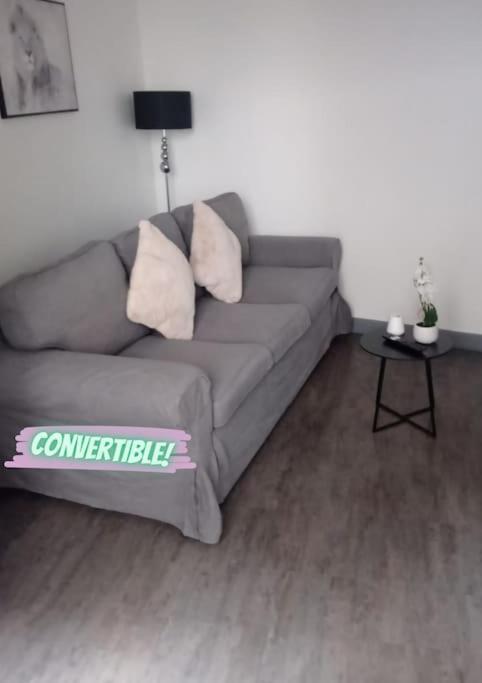 Appartement Coeur De Ville! Foix Exterior foto